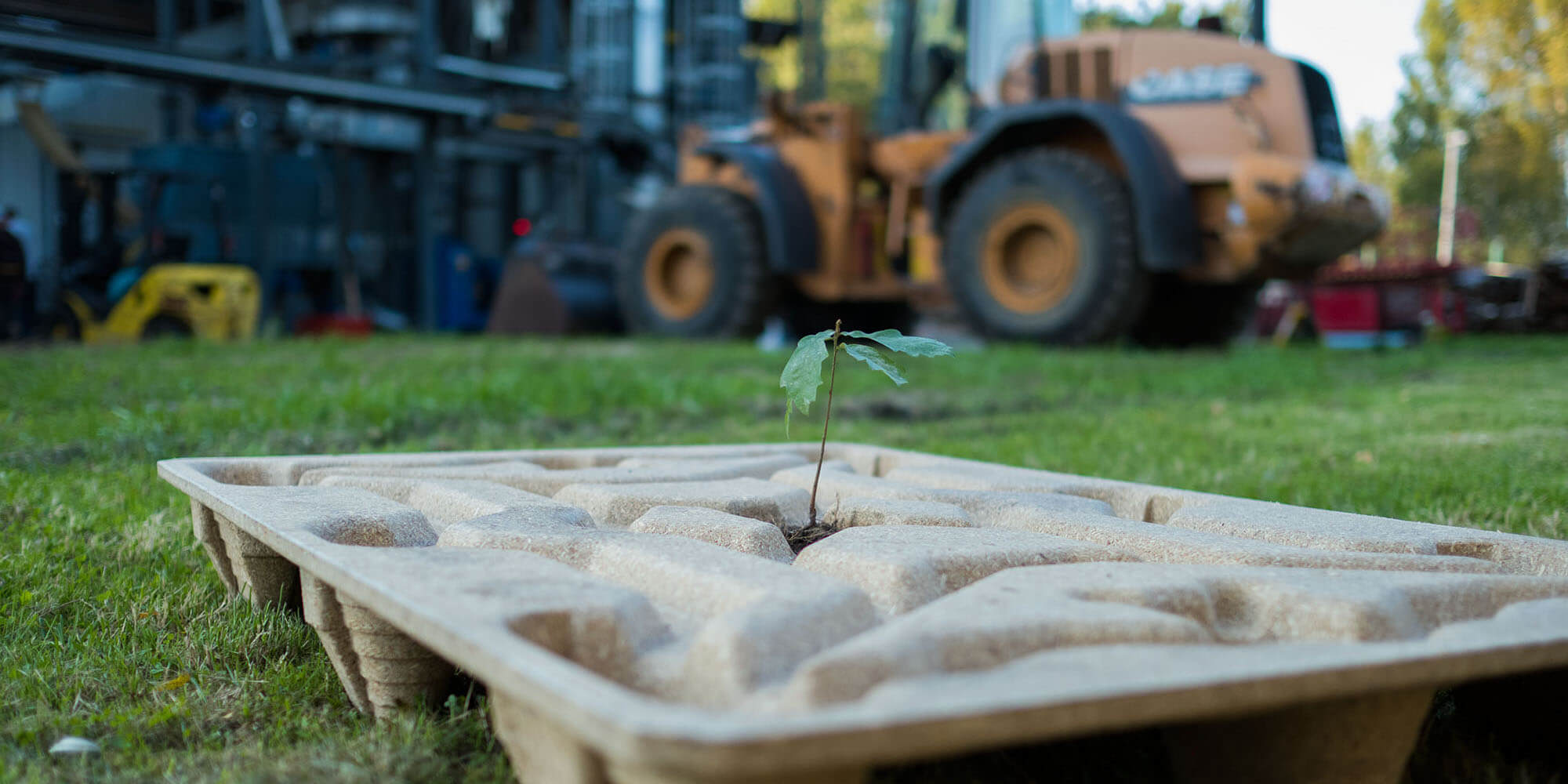 You are currently viewing HOW TO GROW PALLETS