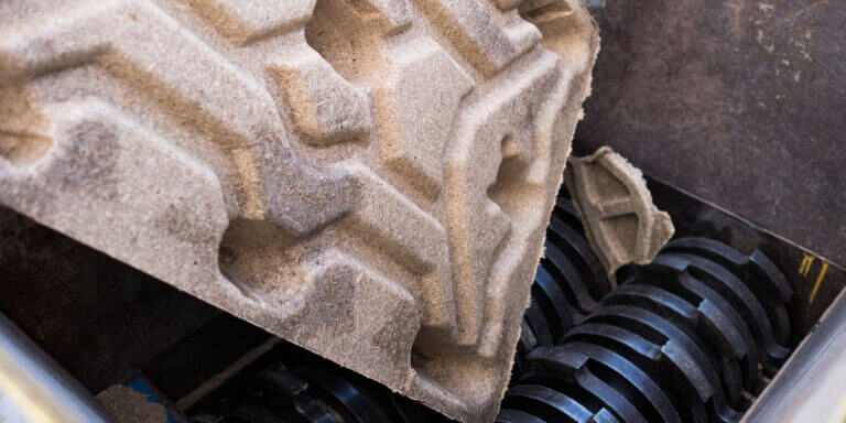 Read more about the article GDZIE POCZĄTEK MA EKOLOGIA?