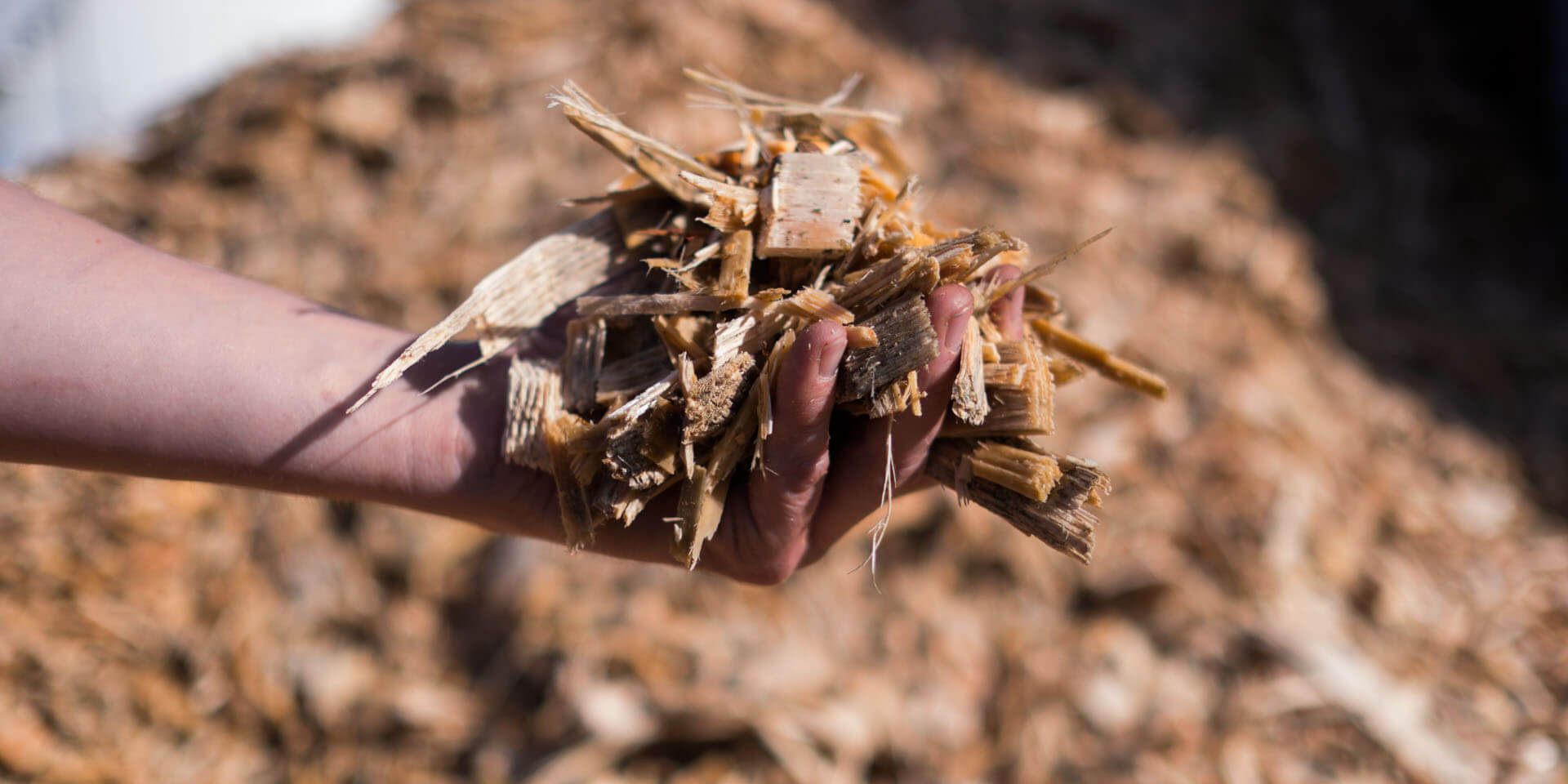 You are currently viewing REQUIEM DLA PALETY?