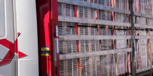 Read more about the article SHIPMENTS ALL ROUND