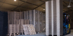 Read more about the article IMPROVED 1200×800