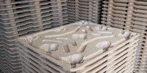 Read more about the article WE’RE BACK!