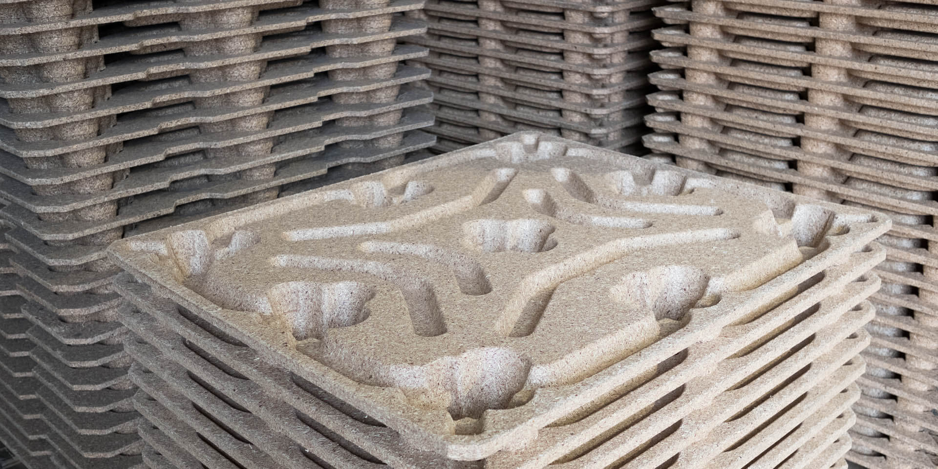 You are currently viewing JUŻ JESTEŚMY Z POWROTEM!