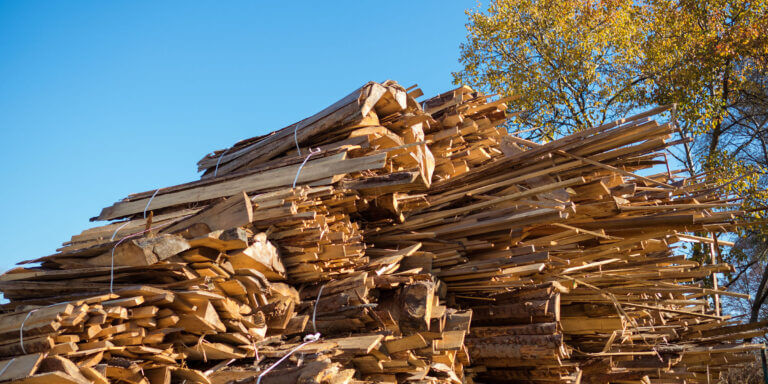 Read more about the article AUTUMN LEAVES