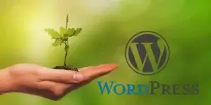 Read more about the article BosPal at WordCamp Gliwice 2024 conference